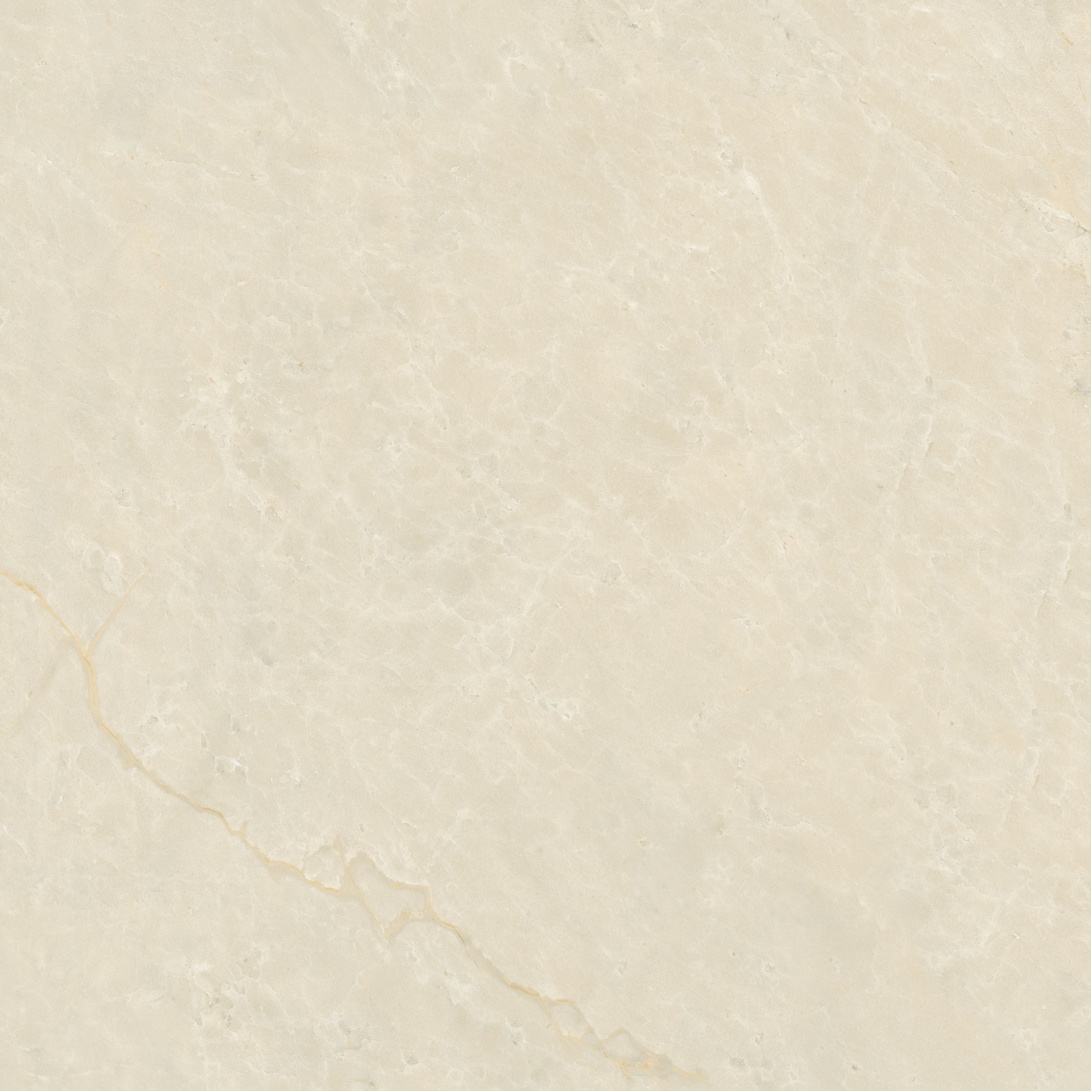 01 AVORIO GOLD OFW  POL 120X120 F1.jpg