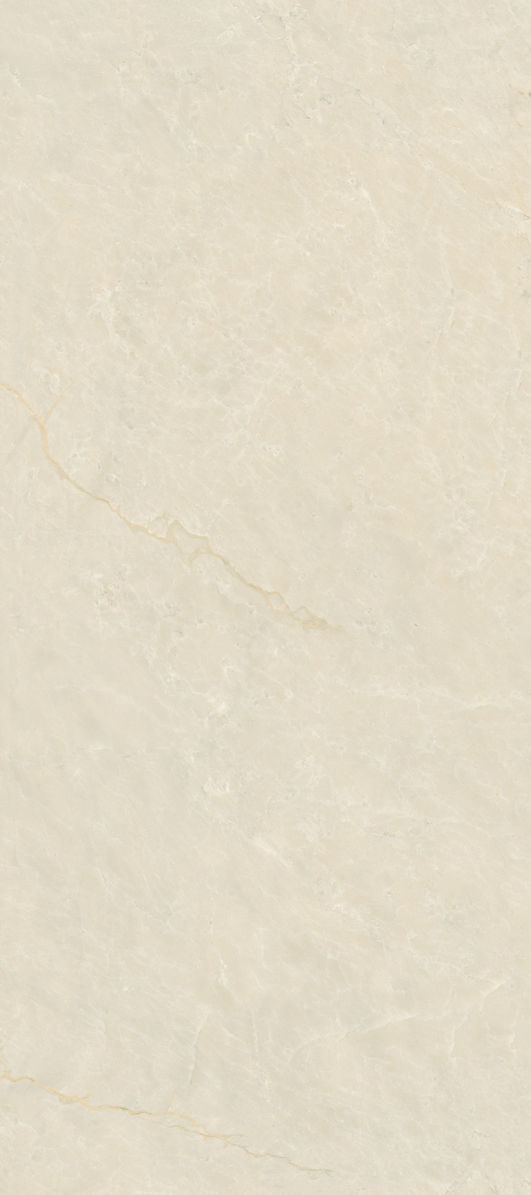 AVORIO GOLD OFW POL 120X270 F1.jpg