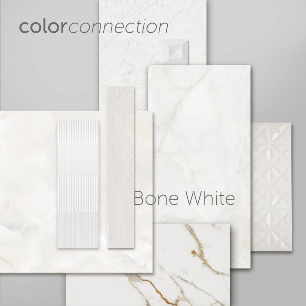 Bone-White-color-connection-1024x1024.jpg