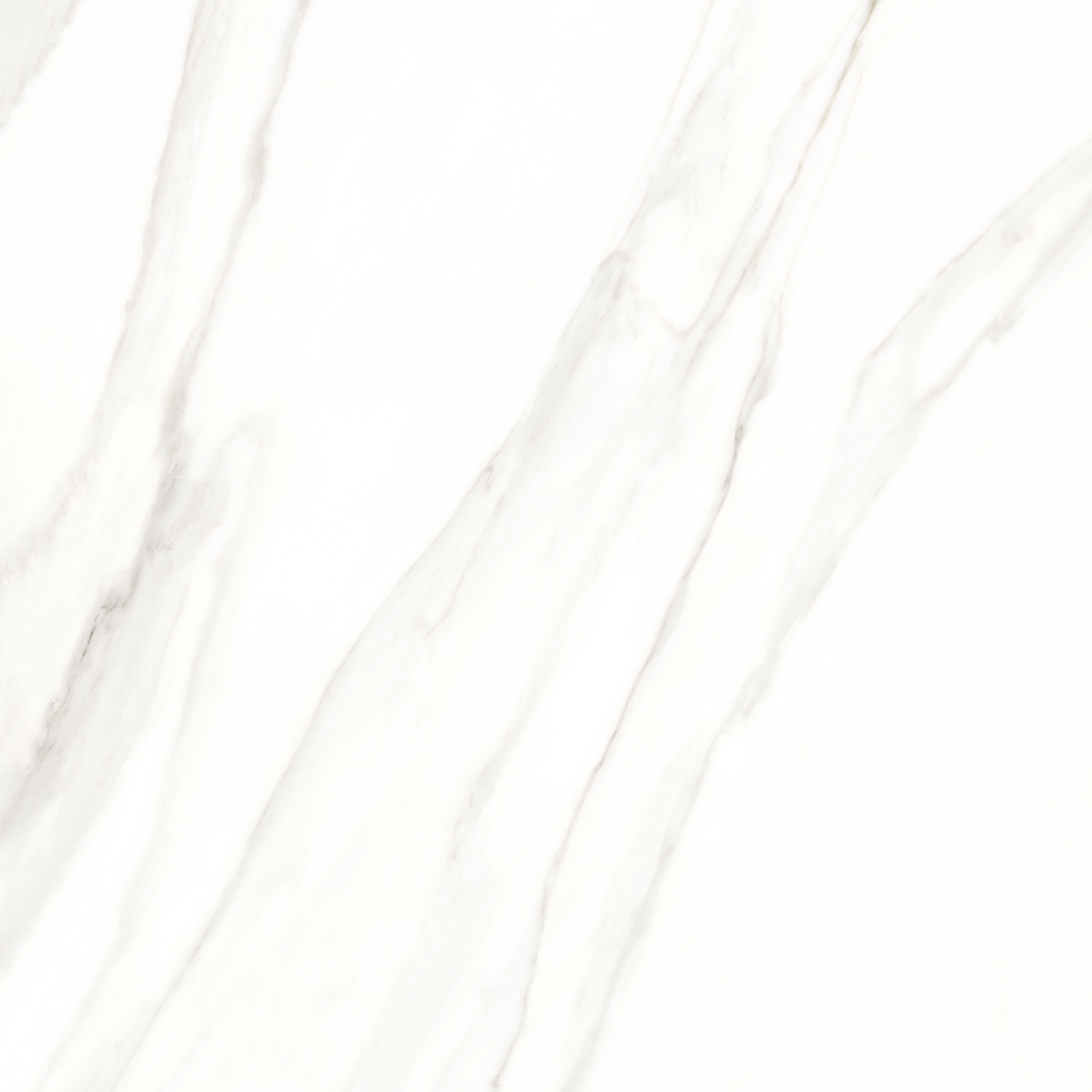 CALACATAWHPOL120X120_1.jpg