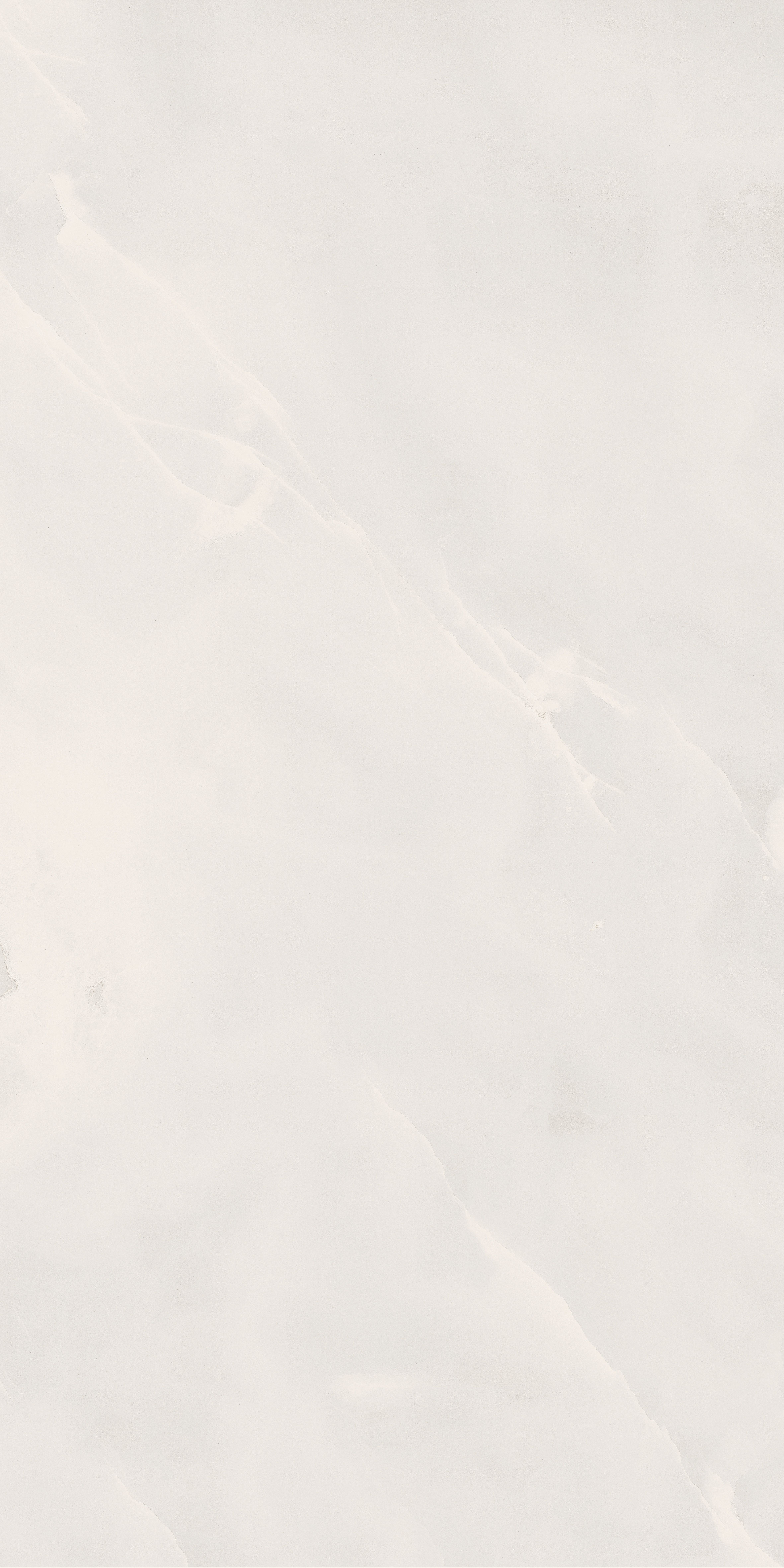 ONICE OFW POL 60X120 FACE A.jpg