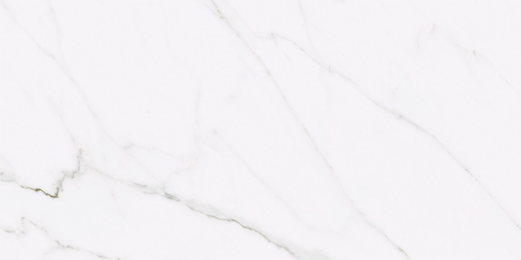porcelanato-para-banheiro-colecao-calacata-classico-still.jpg
